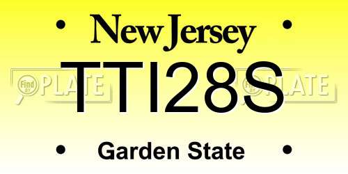 TTI28S New Jersey License Plate