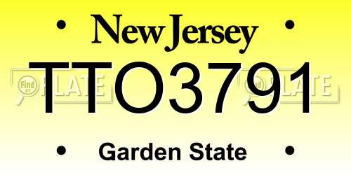 TTO3791 New Jersey License Plate