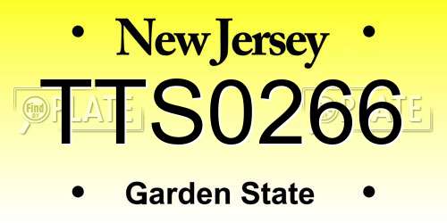 TTS0266 New Jersey License Plate