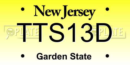 TTS13D New Jersey License Plate