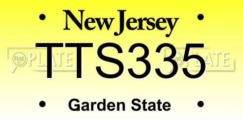 TTS335 New Jersey License Plate