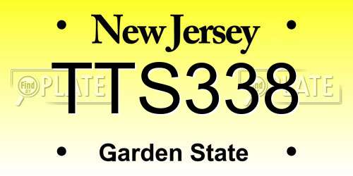 TTS338 New Jersey License Plate