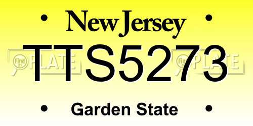 TTS5273 New Jersey License Plate