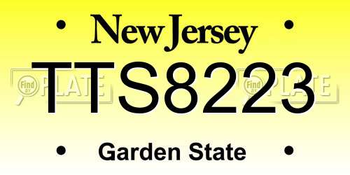 TTS8223 New Jersey License Plate