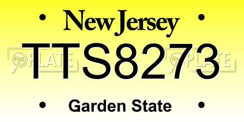 TTS8273 New Jersey License Plate