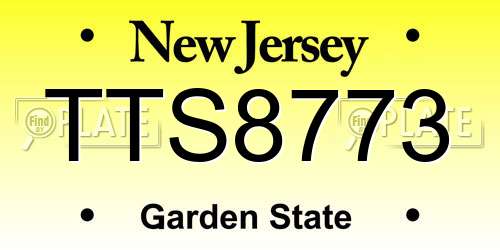 TTS8773 New Jersey License Plate
