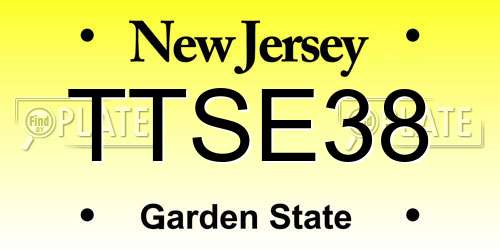 TTSE38 New Jersey License Plate