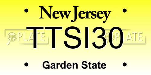 TTSI30 New Jersey License Plate