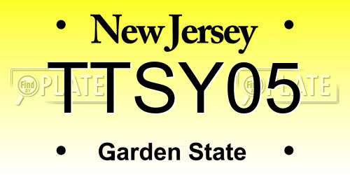 TTSY05 New Jersey License Plate