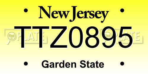 TTZ0895 New Jersey License Plate