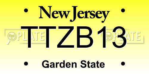 TTZB13 New Jersey License Plate