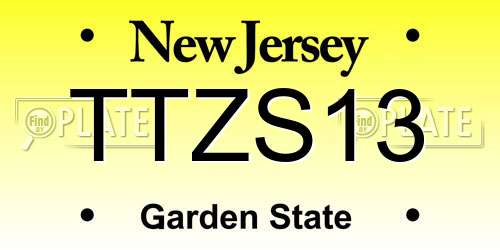 TTZS13 New Jersey License Plate
