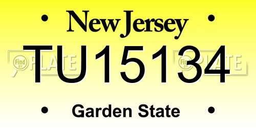 TU15134 New Jersey License Plate