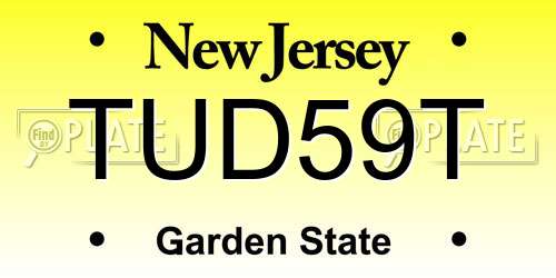 TUD59T New Jersey License Plate