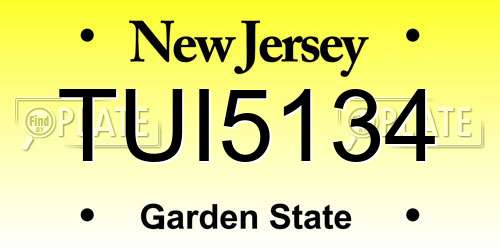 TUI5134 New Jersey License Plate