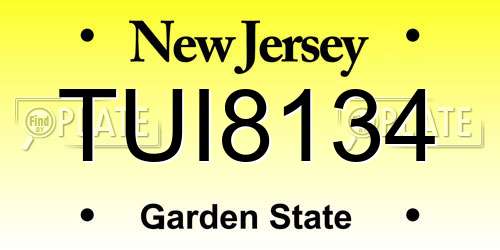 TUI8134 New Jersey License Plate
