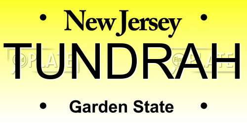TUNDRAH New Jersey License Plate