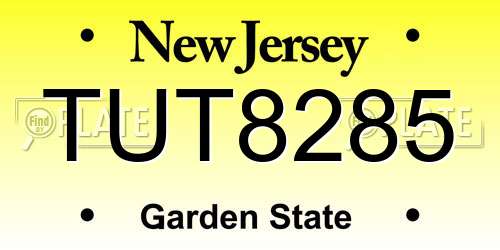 TUT8285 New Jersey License Plate