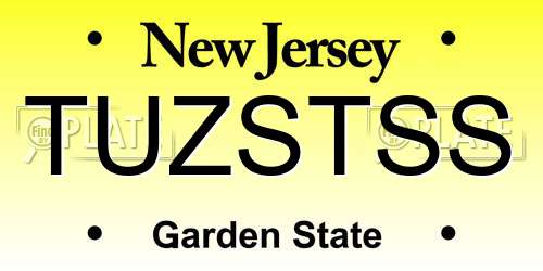 TUZSTSS New Jersey License Plate