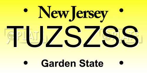 TUZSZSS New Jersey License Plate