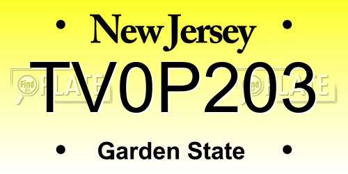TV0P203 New Jersey License Plate