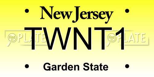 TWNT1 New Jersey License Plate