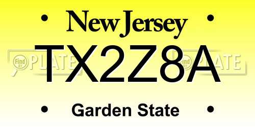 TX2Z8A New Jersey License Plate