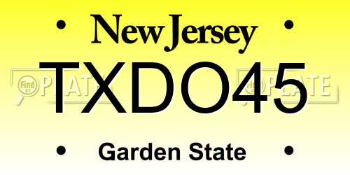 TXDO45 New Jersey License Plate