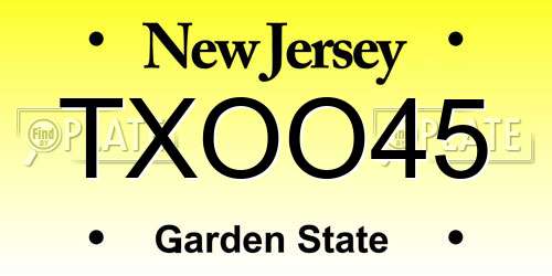 TXOO45 New Jersey License Plate