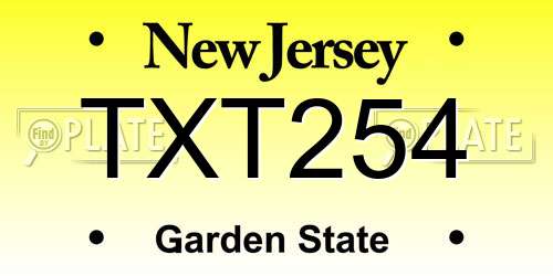 TXT254 New Jersey License Plate