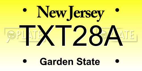 TXT28A New Jersey License Plate