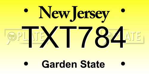 TXT784 New Jersey License Plate