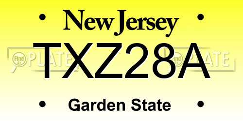 TXZ28A New Jersey License Plate