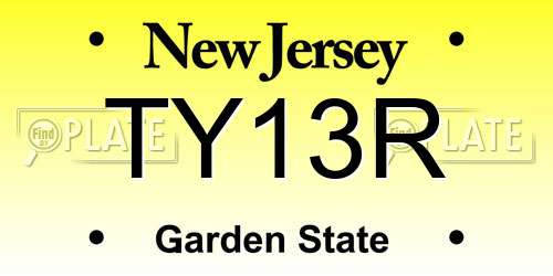 TY13R New Jersey License Plate