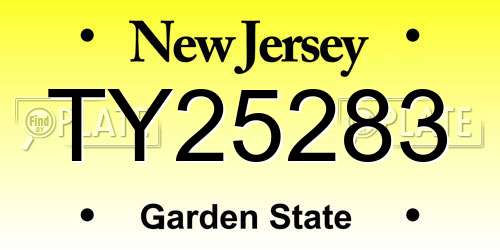 TY25283 New Jersey License Plate