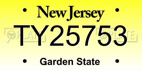 TY25753 New Jersey License Plate