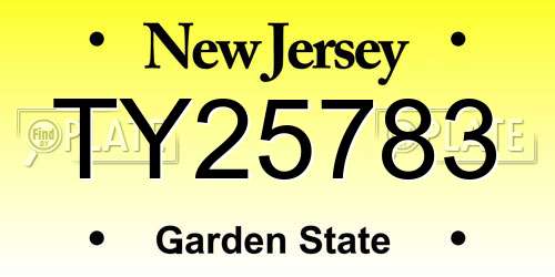 TY25783 New Jersey License Plate