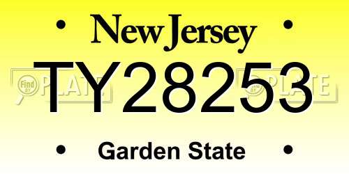 TY28253 New Jersey License Plate