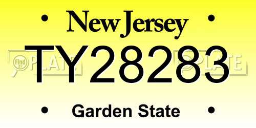 TY28283 New Jersey License Plate