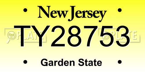 TY28753 New Jersey License Plate