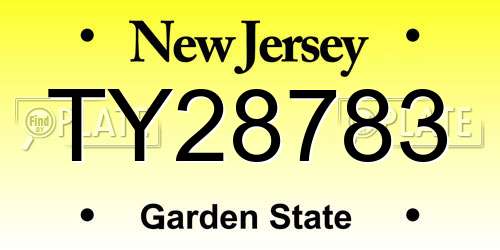 TY28783 New Jersey License Plate