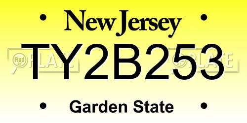 TY2B253 New Jersey License Plate