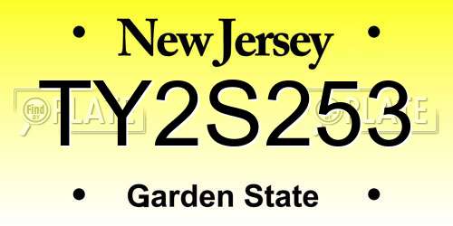 TY2S253 New Jersey License Plate