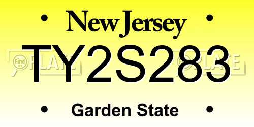 TY2S283 New Jersey License Plate