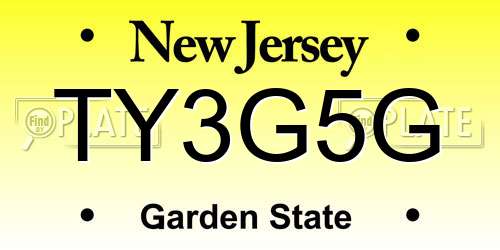 TY3G5G New Jersey License Plate