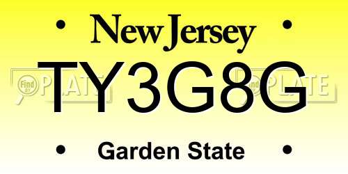 TY3G8G New Jersey License Plate