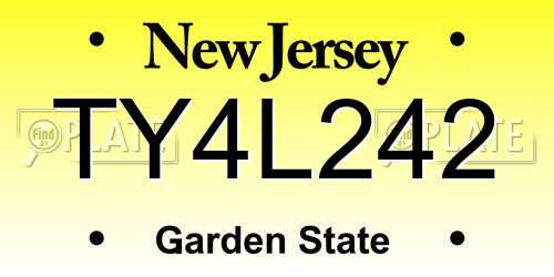 TY4L242 New Jersey License Plate