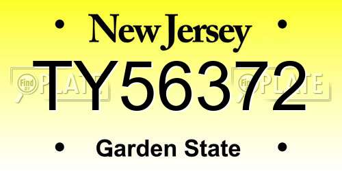 TY56372 New Jersey License Plate