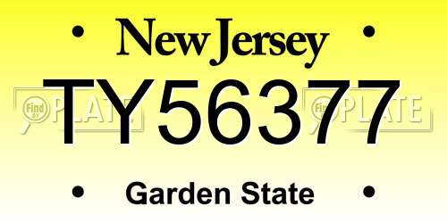 TY56377 New Jersey License Plate