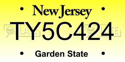 TY5C424 New Jersey License Plate